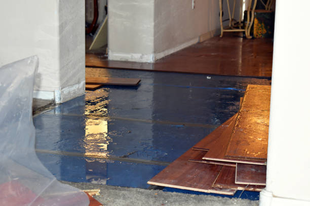 Professional Burst Pipe Cleanup technician working in Edwall, WA